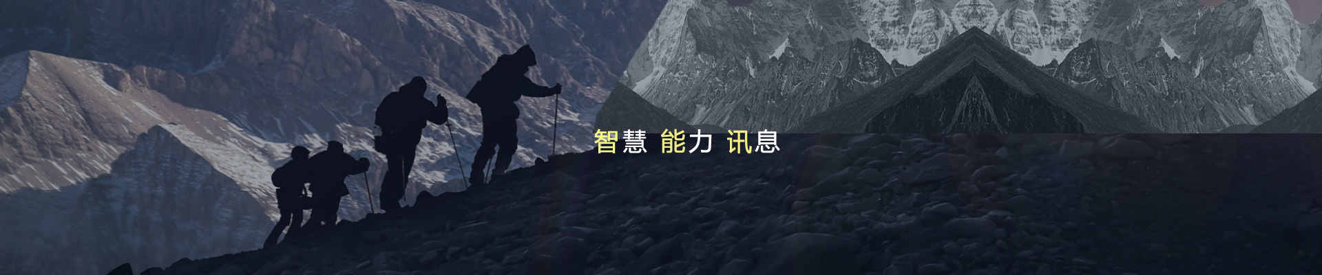 行业动态