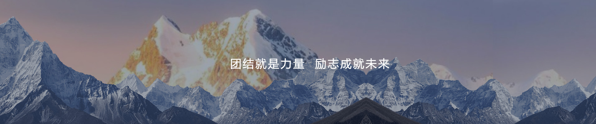 精英律师团队